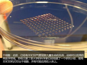 大跌眼镜！绝对奇葩的14个3D打印产品，刷新你的认知极限